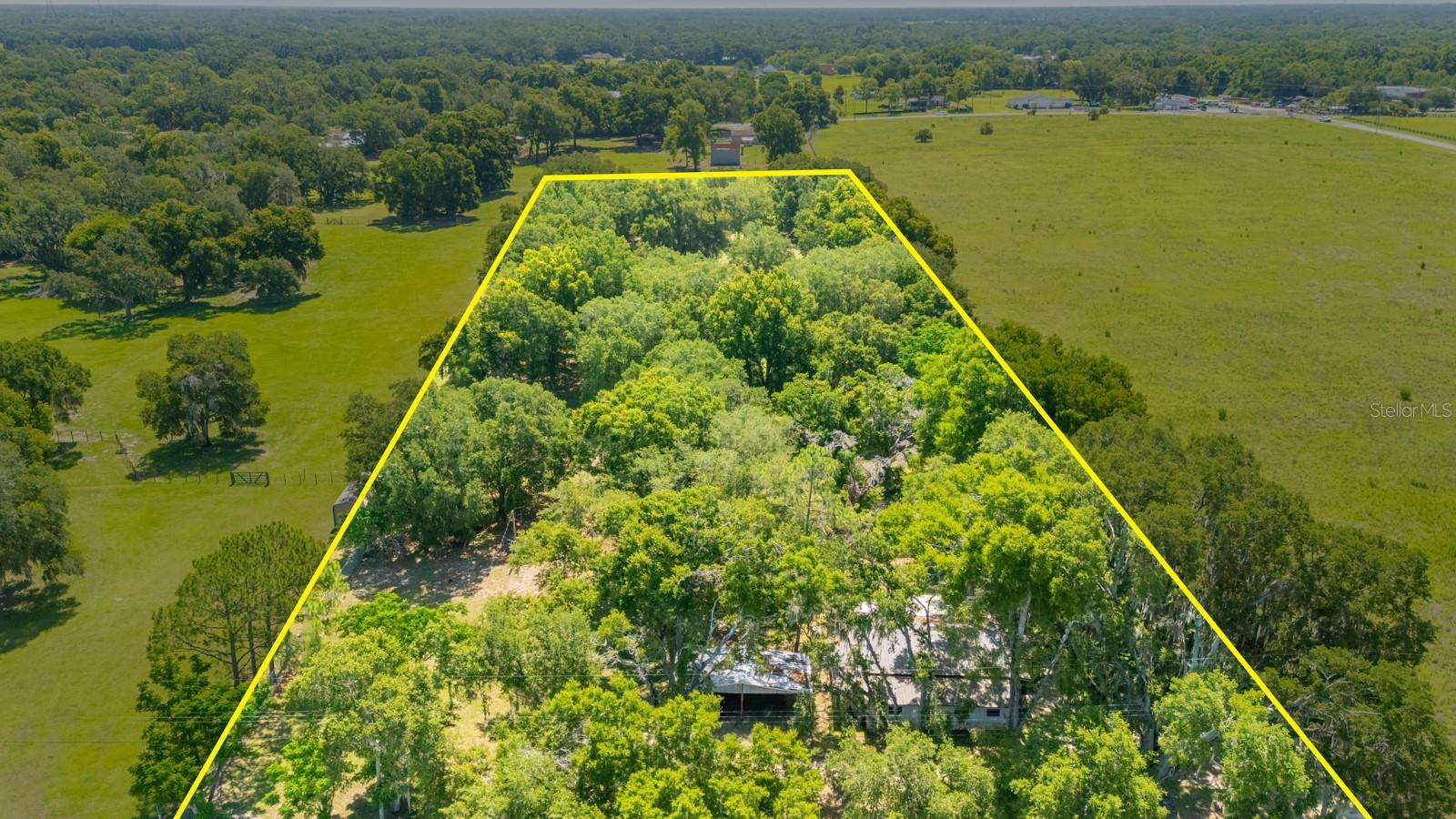 12616 THONOTOSASSA RD — photo 54