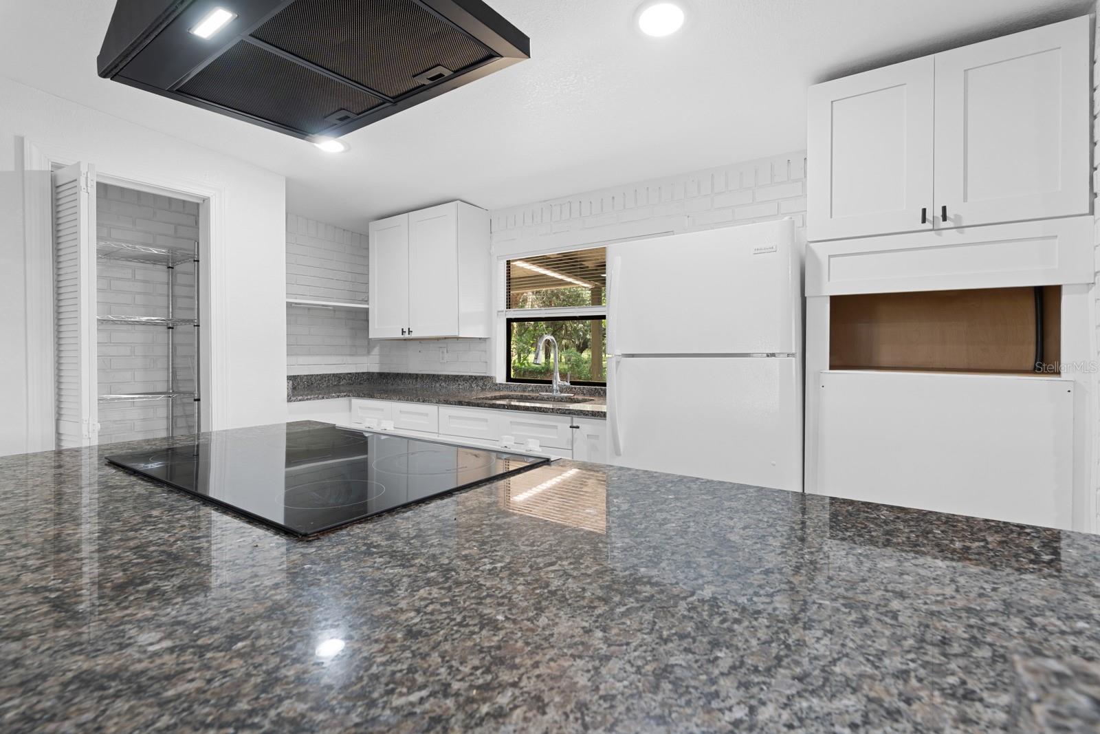 12616 THONOTOSASSA RD — photo 15