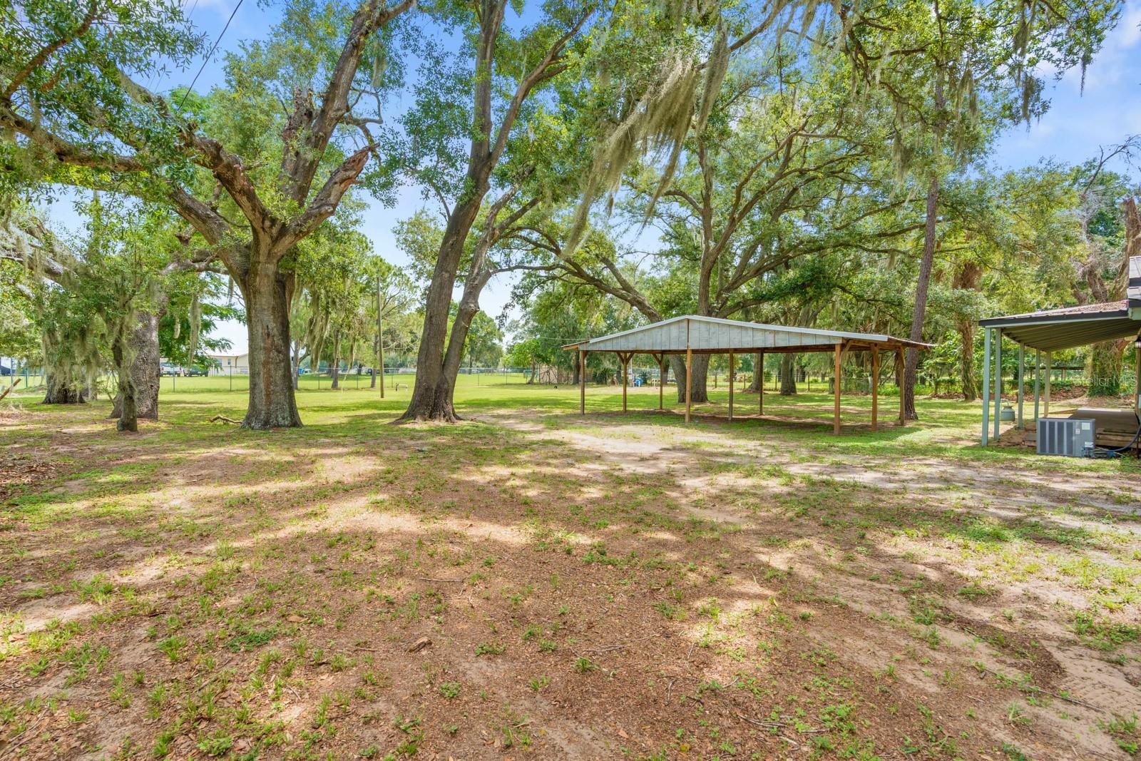 12616 THONOTOSASSA RD — photo 31