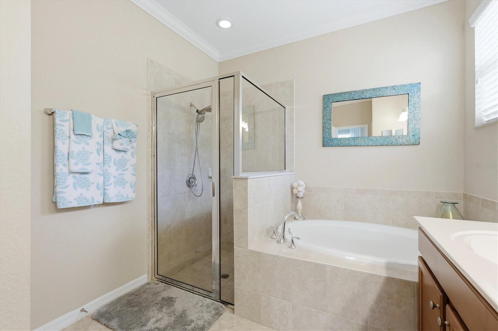 11702 ANHINGA AVE — photo 32