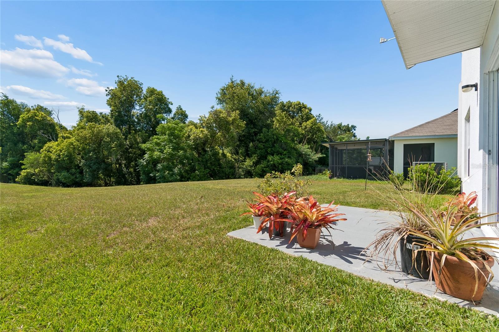 13756 WHISKEY DAISY DR — photo 74