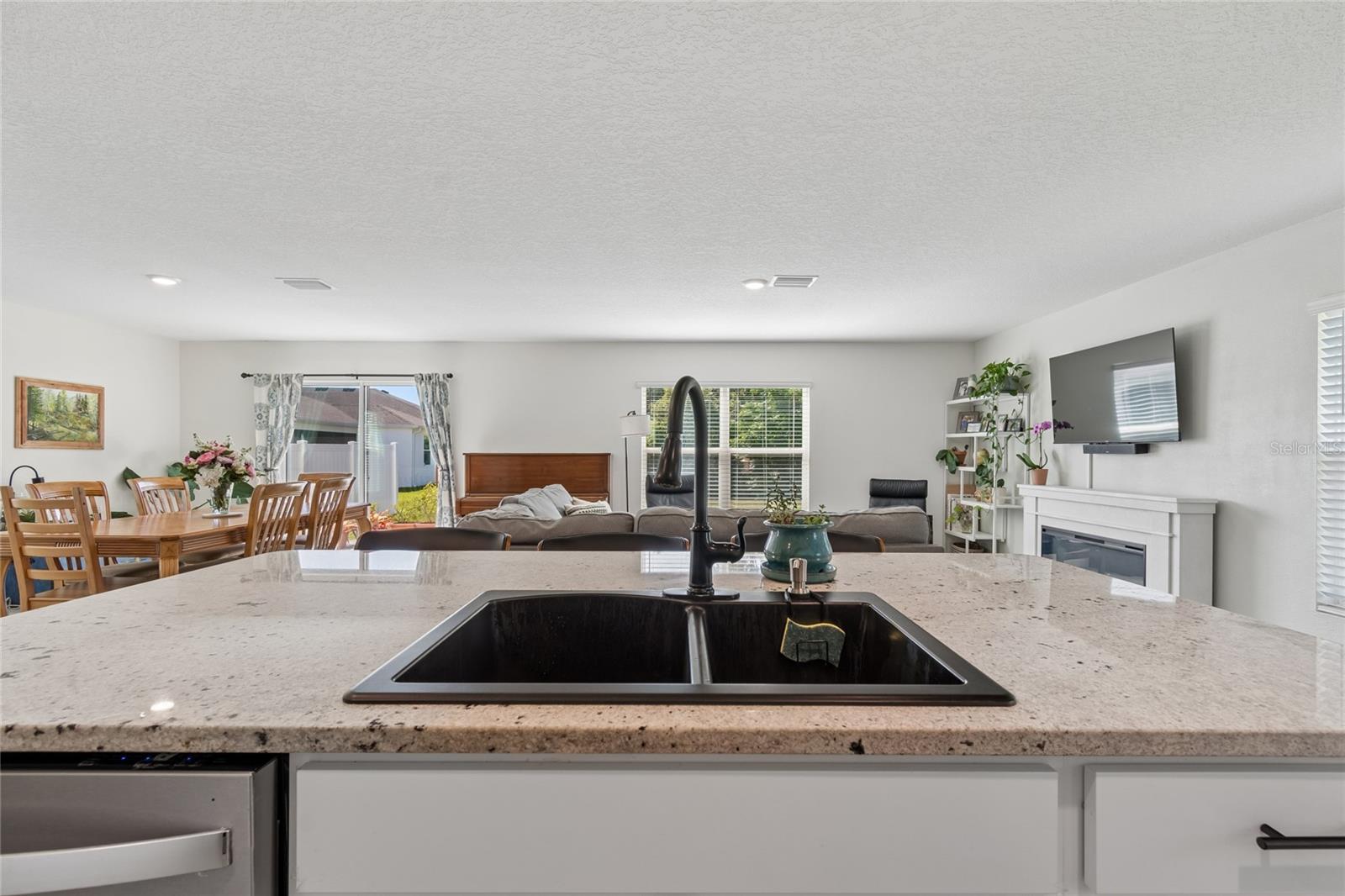 13756 WHISKEY DAISY DR — photo 21