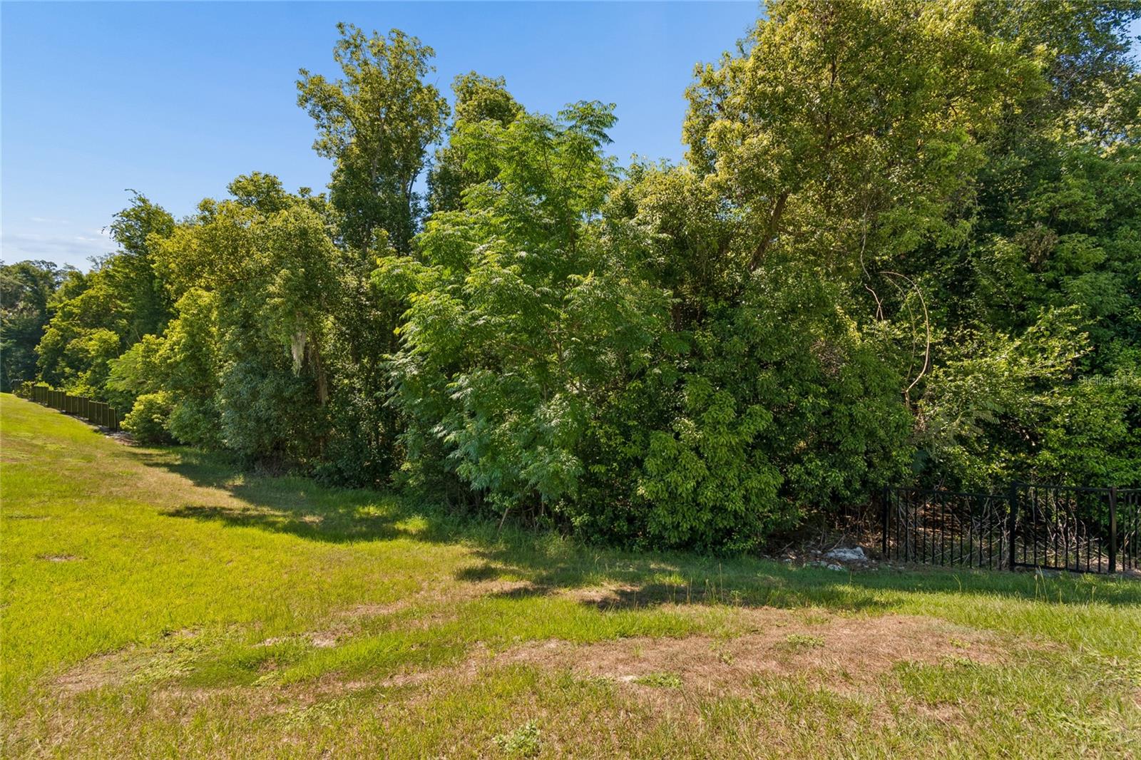 13756 WHISKEY DAISY DR — photo 80