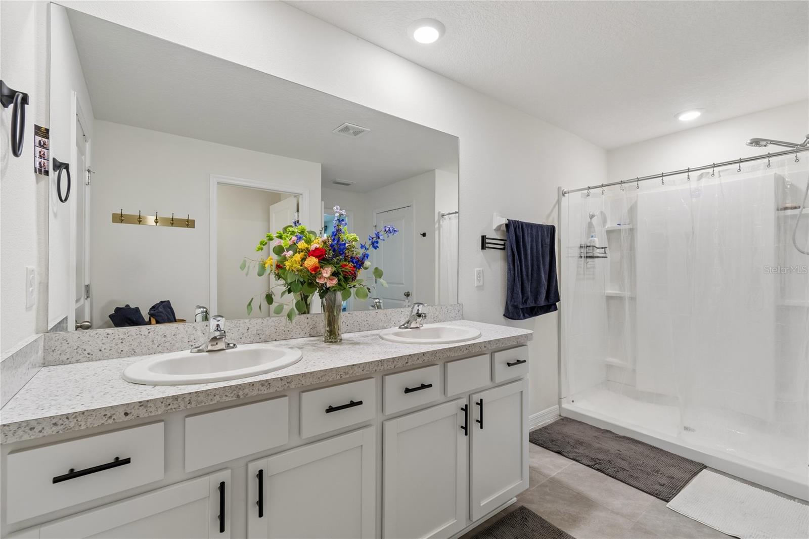 13756 WHISKEY DAISY DR — photo 69