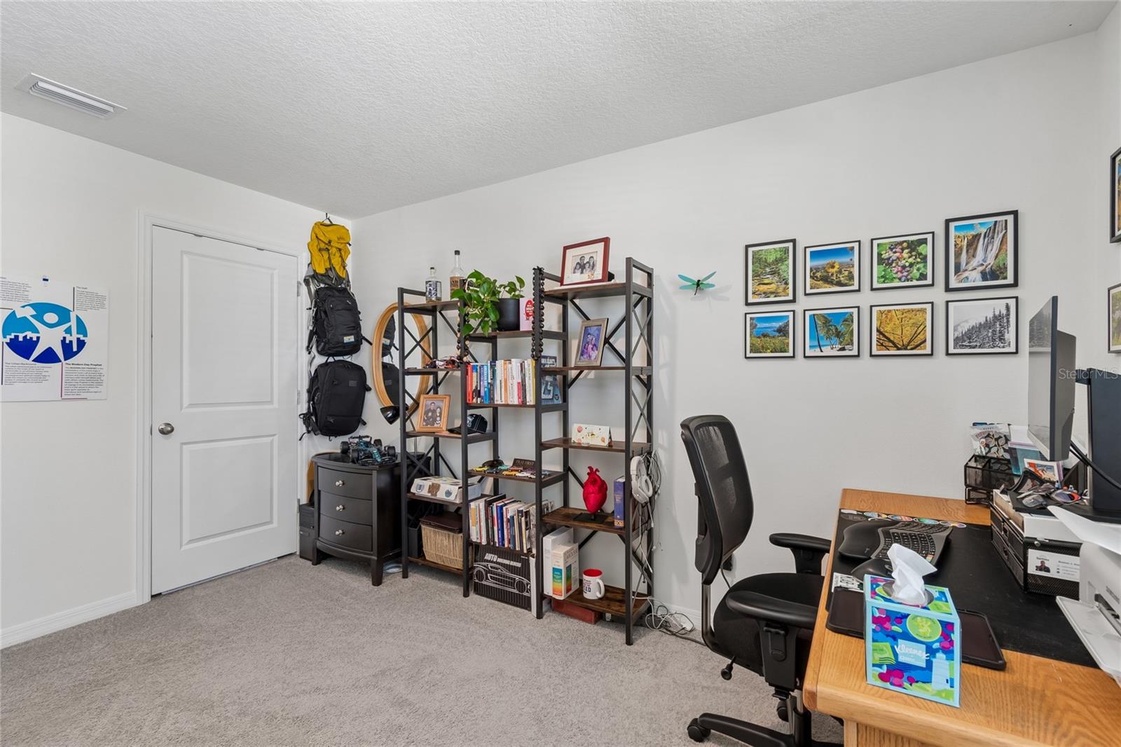 13756 WHISKEY DAISY DR — photo 53