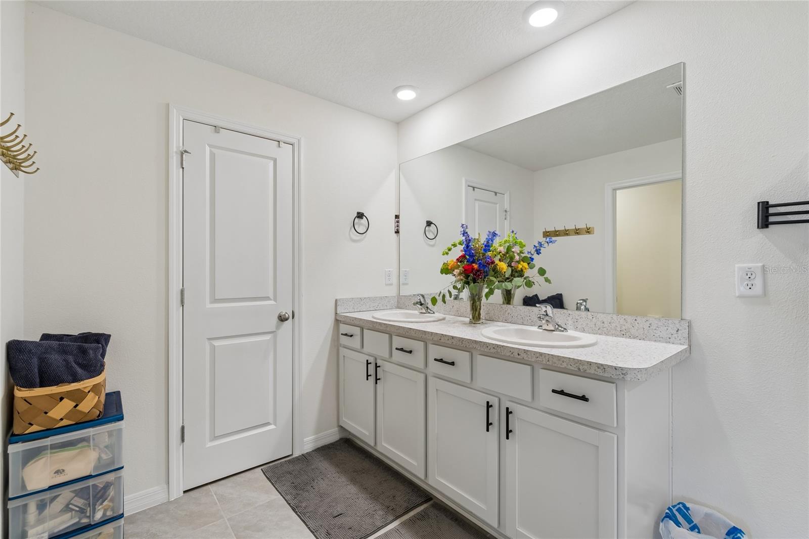 13756 WHISKEY DAISY DR — photo 68