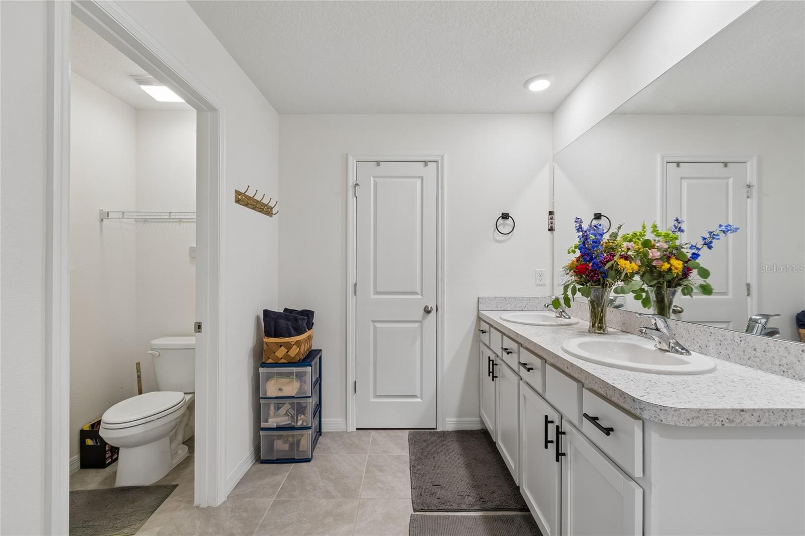 13756 WHISKEY DAISY DR — photo 70