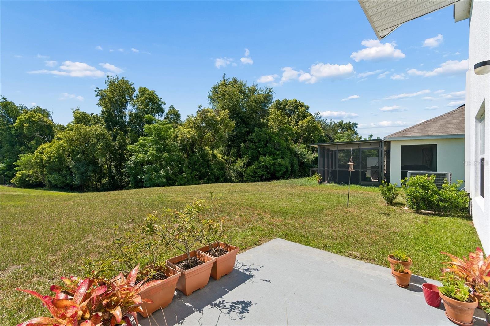 13756 WHISKEY DAISY DR — photo 73