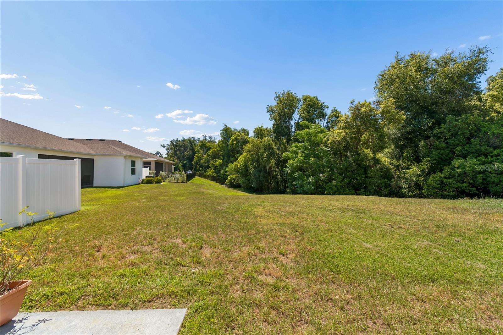 13756 WHISKEY DAISY DR — photo 79