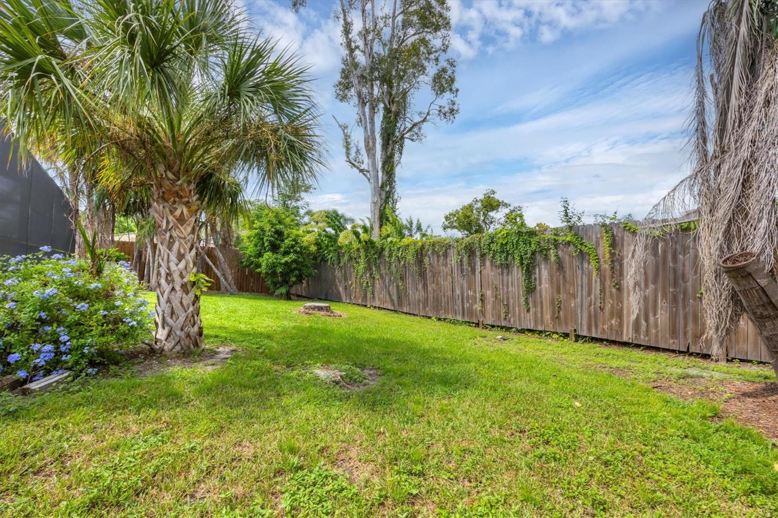 2445 APACHE ST — photo 31