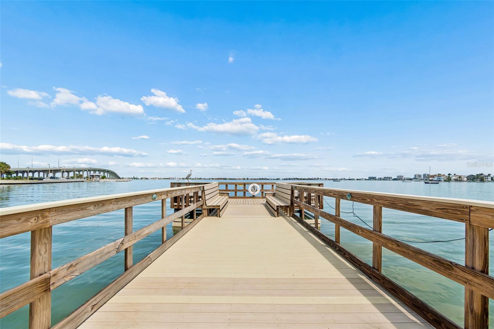 100 BLUFF VIEW DR #509C — photo 46
