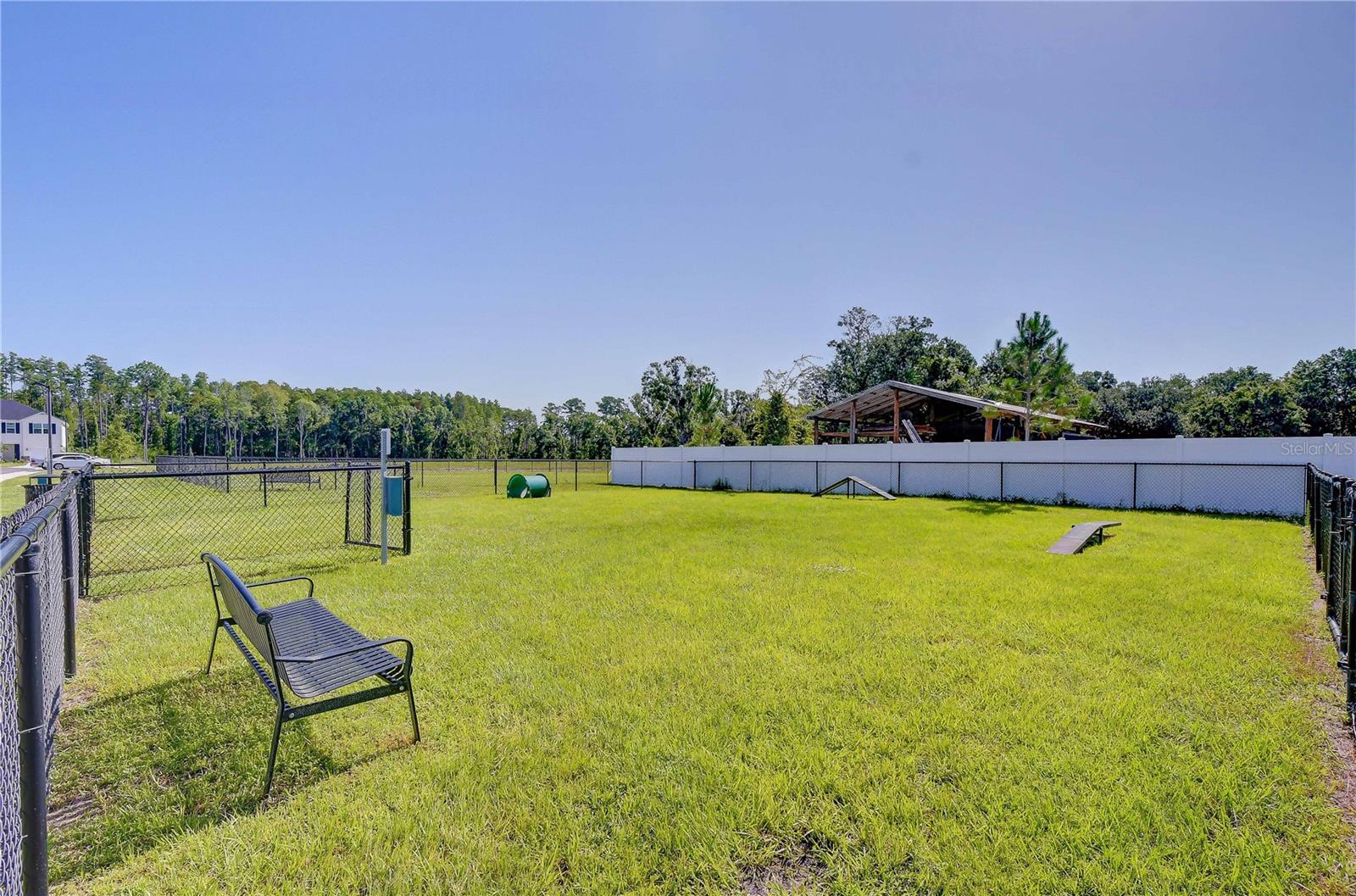 20253 LOU ANGELA LN — photo 34