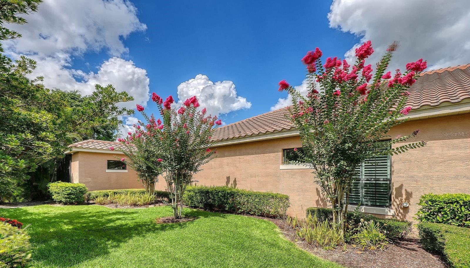 7640 HADDINGTON CV — photo 36