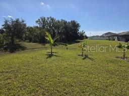 12588 TIMBER MOSS LN — photo 17