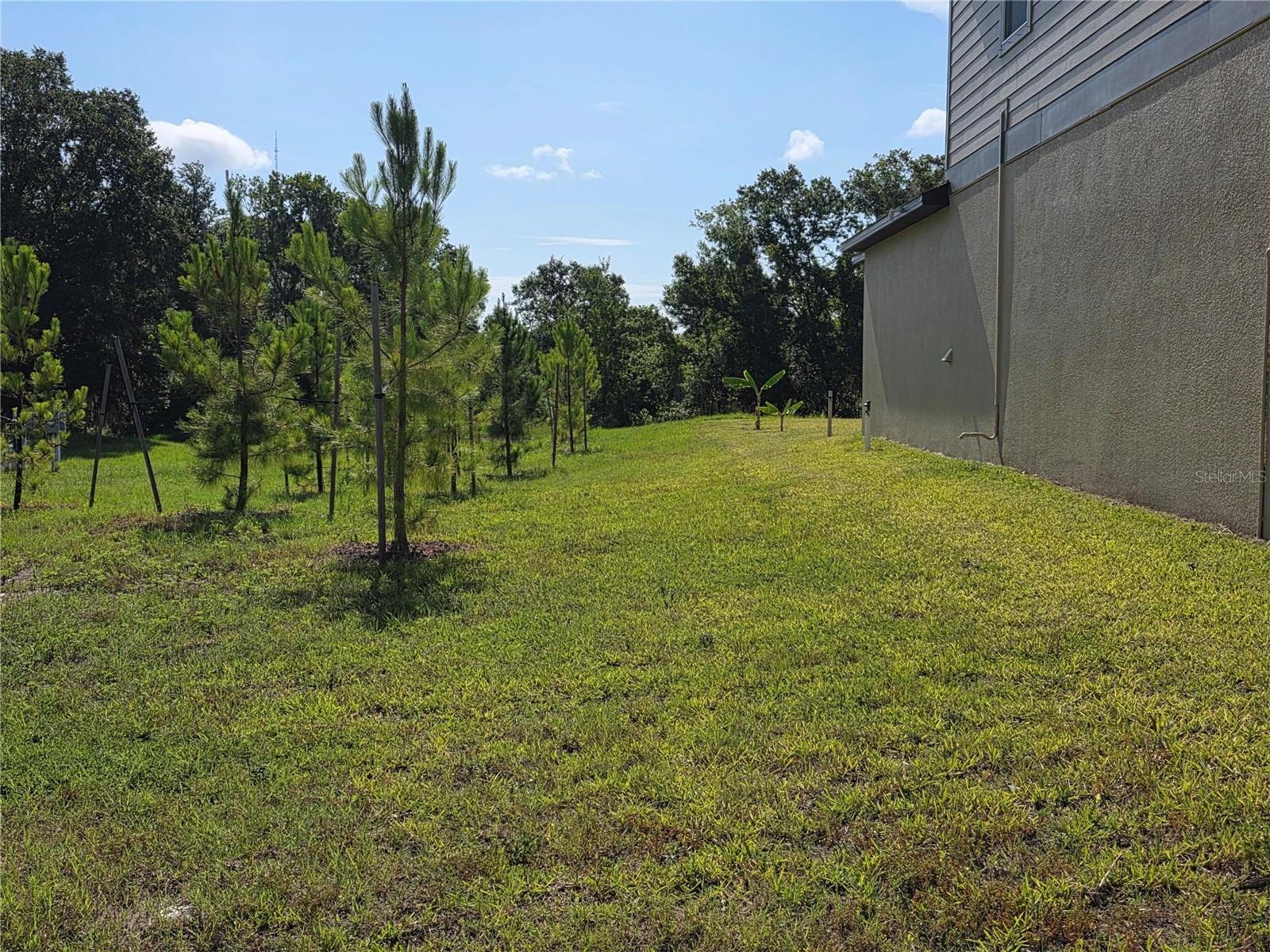 12588 TIMBER MOSS LN — photo 18