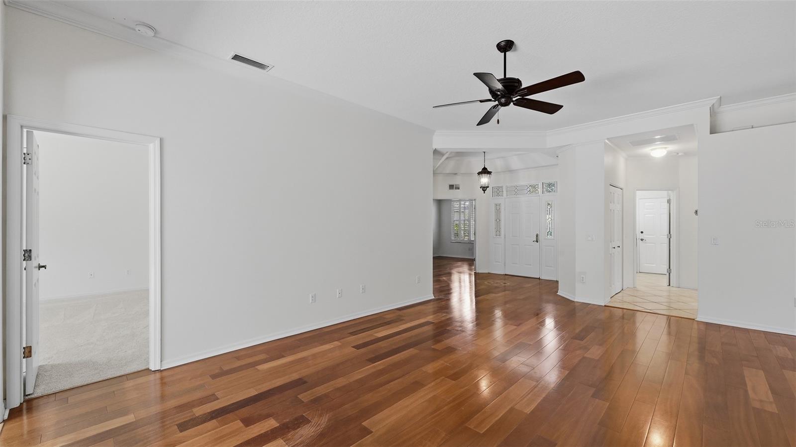 238 VESTAVIA DR — photo 5