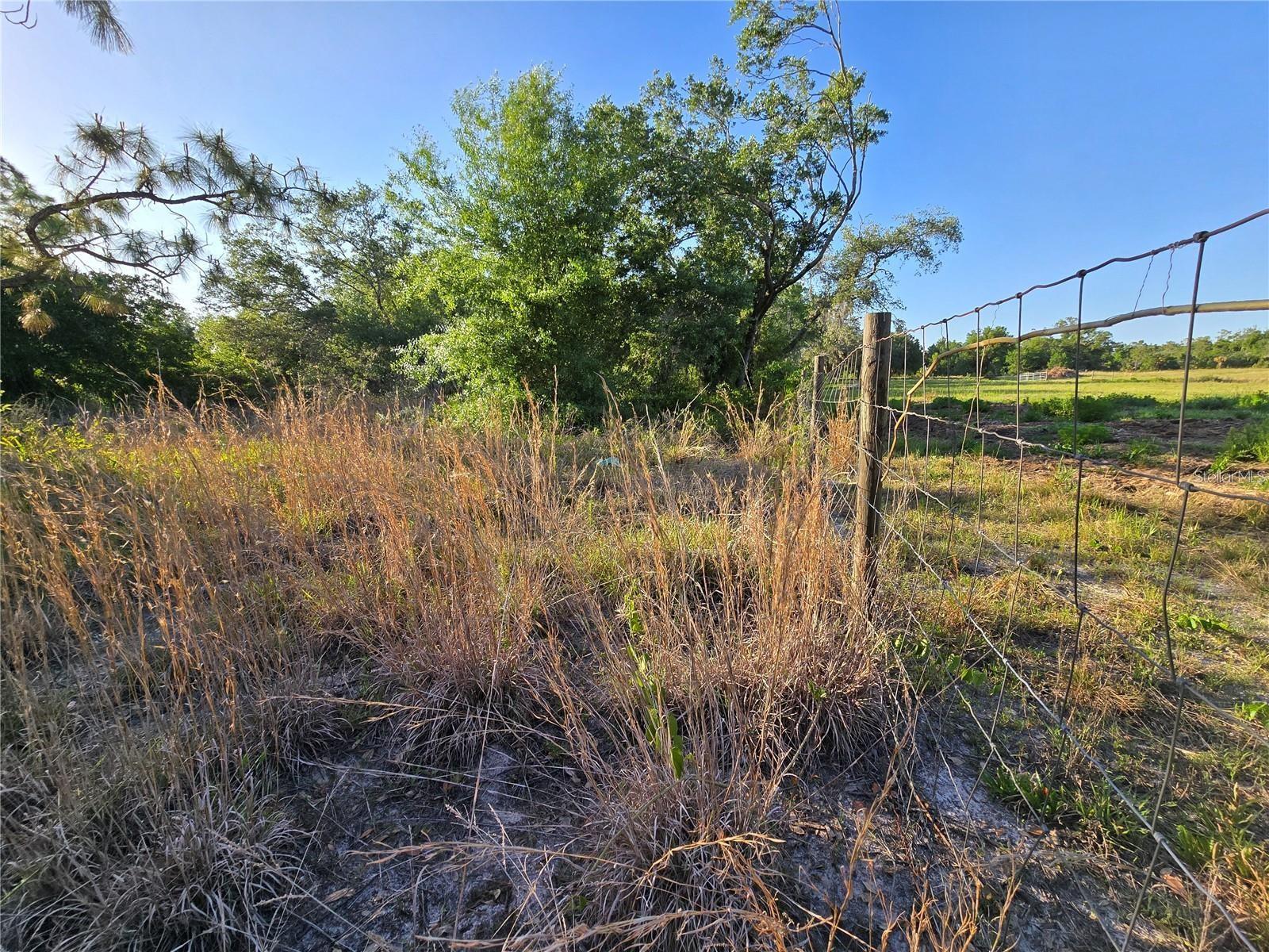 WALLER RD — photo 2