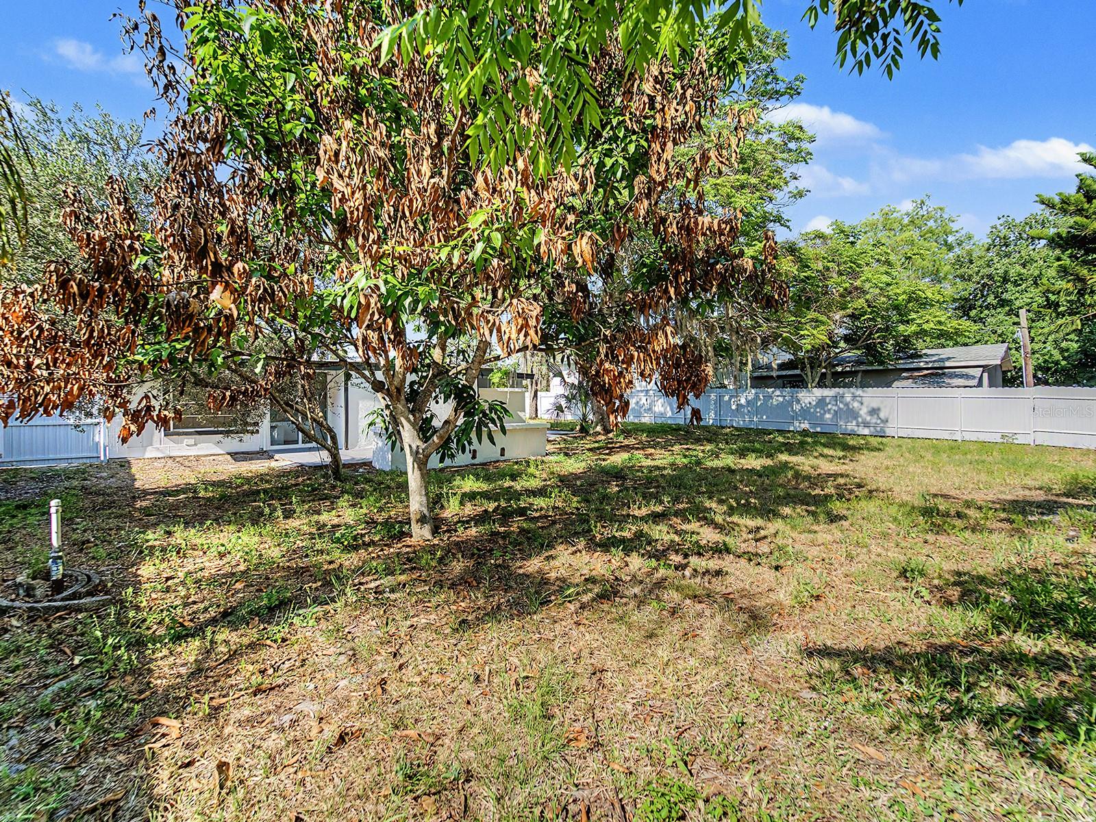 7708 MARYLAND AVE — photo 48