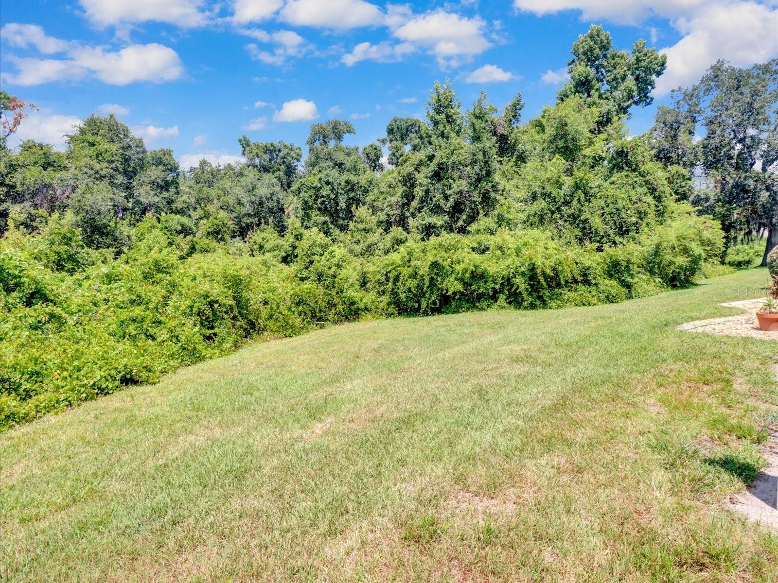 5100 BURCHETTE RD #3200 — photo 49