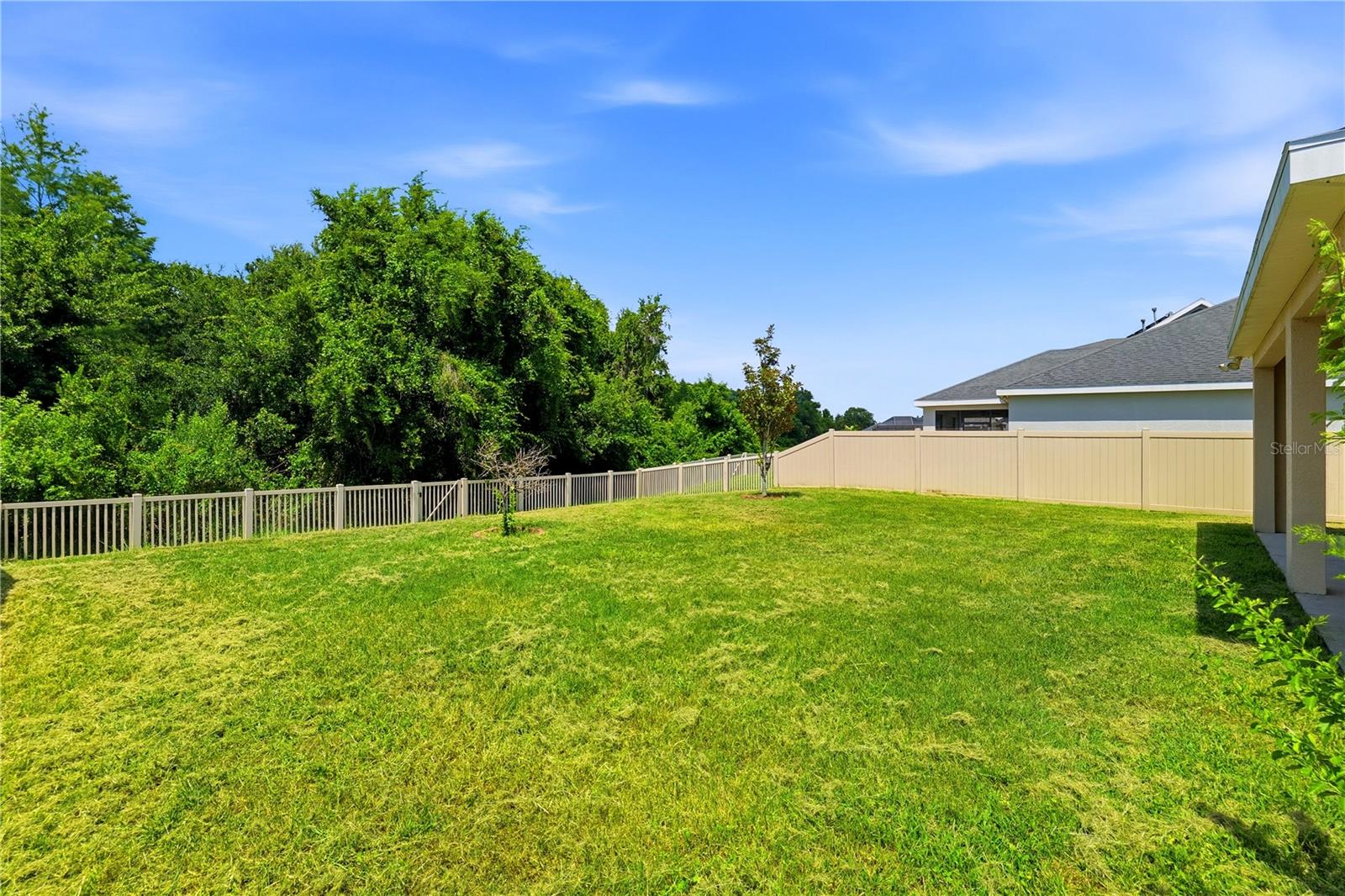 21439 SOUTHERN CHARM DR — photo 46