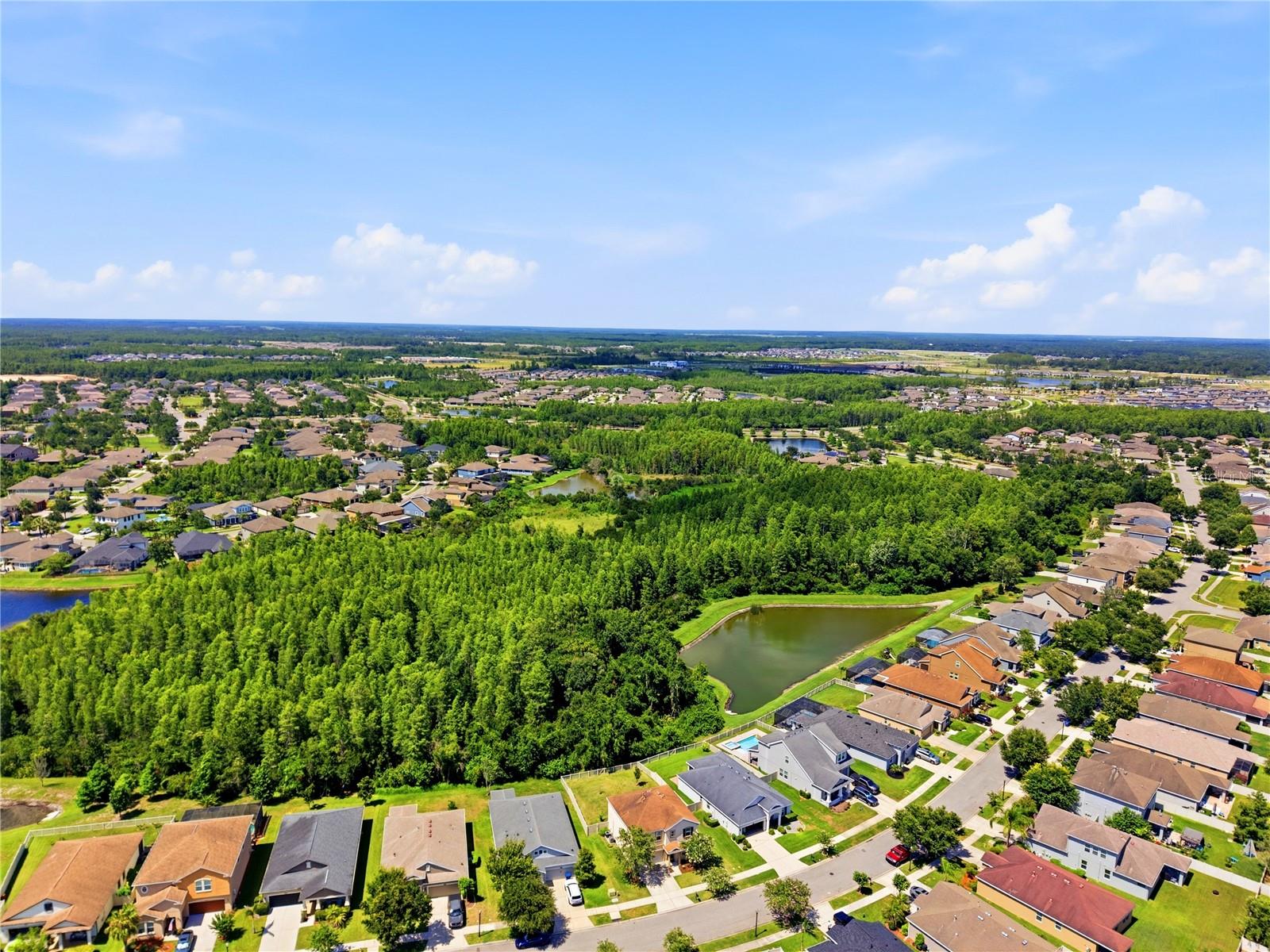 21439 SOUTHERN CHARM DR — photo 59