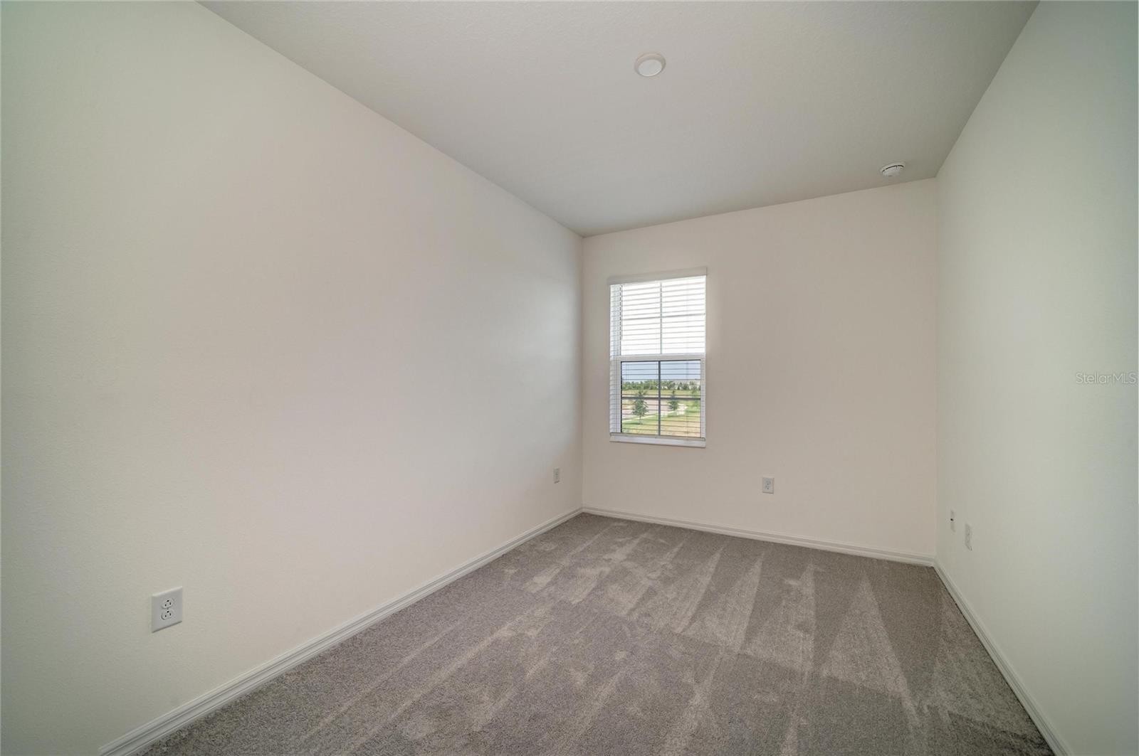 2206 WASHINGTON PALM CT — photo 49