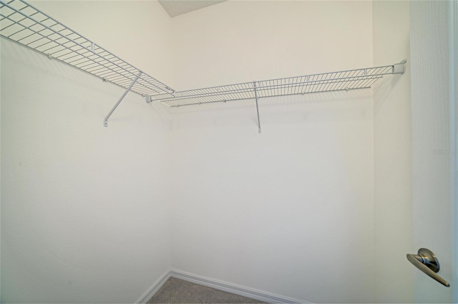 2206 WASHINGTON PALM CT — photo 45