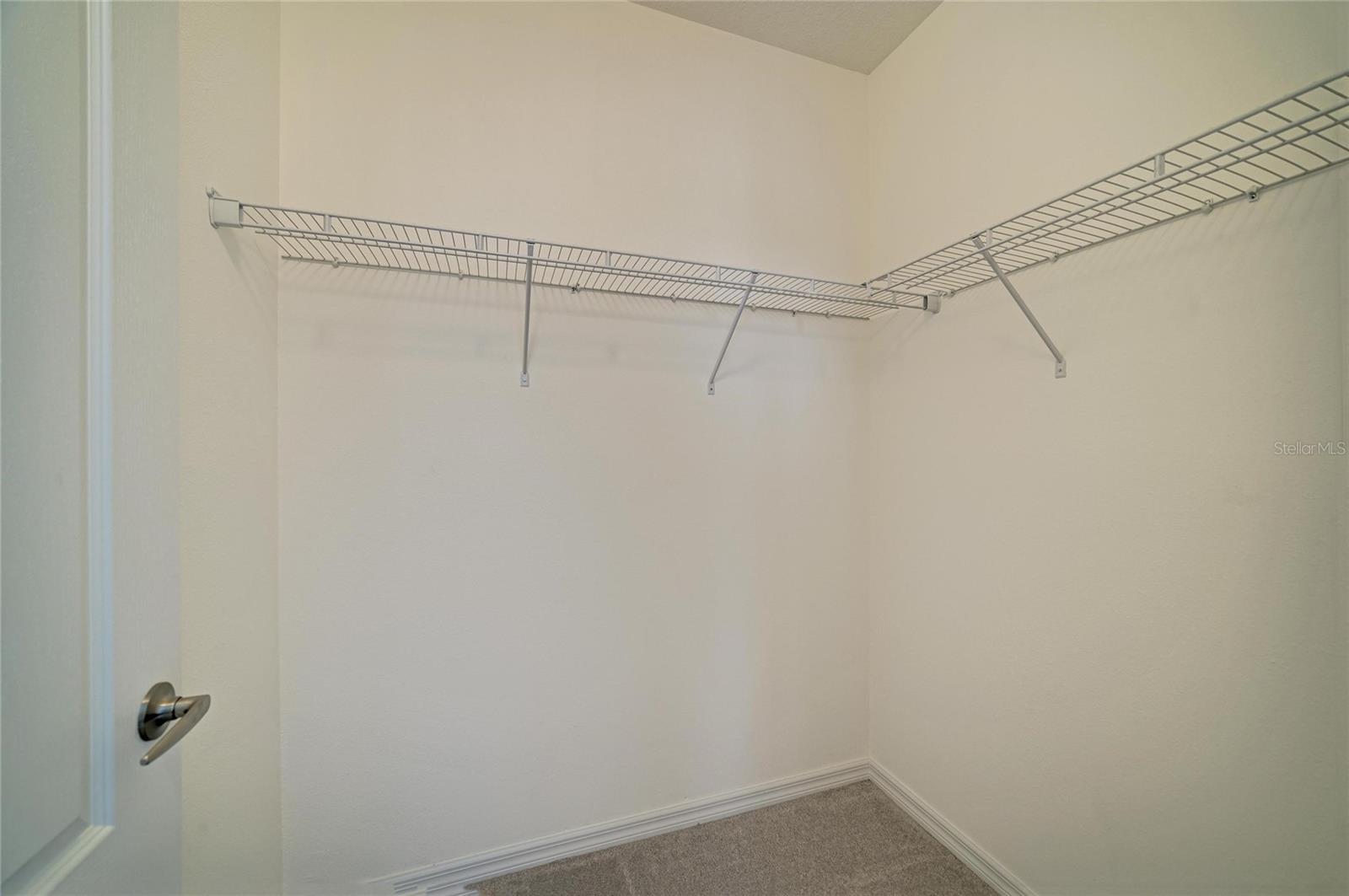 2206 WASHINGTON PALM CT — photo 44