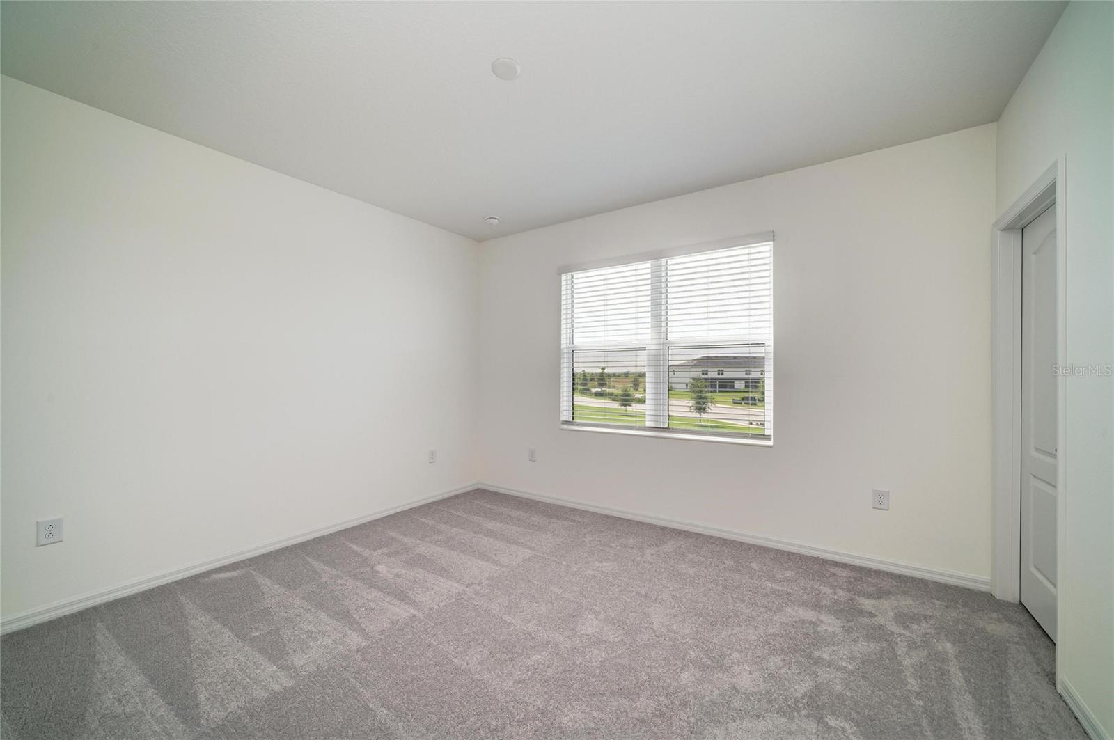 2206 WASHINGTON PALM CT — photo 39