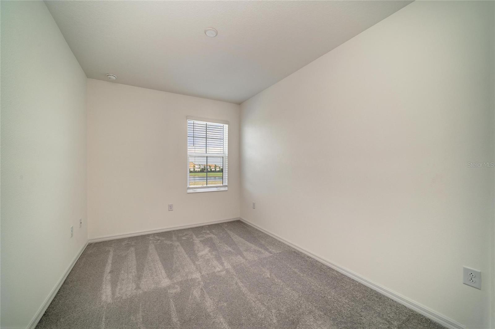 2206 WASHINGTON PALM CT — photo 34