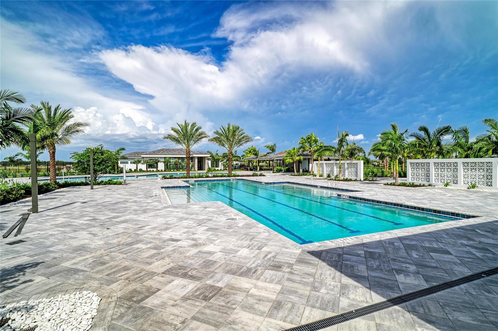 2206 WASHINGTON PALM CT — photo 83