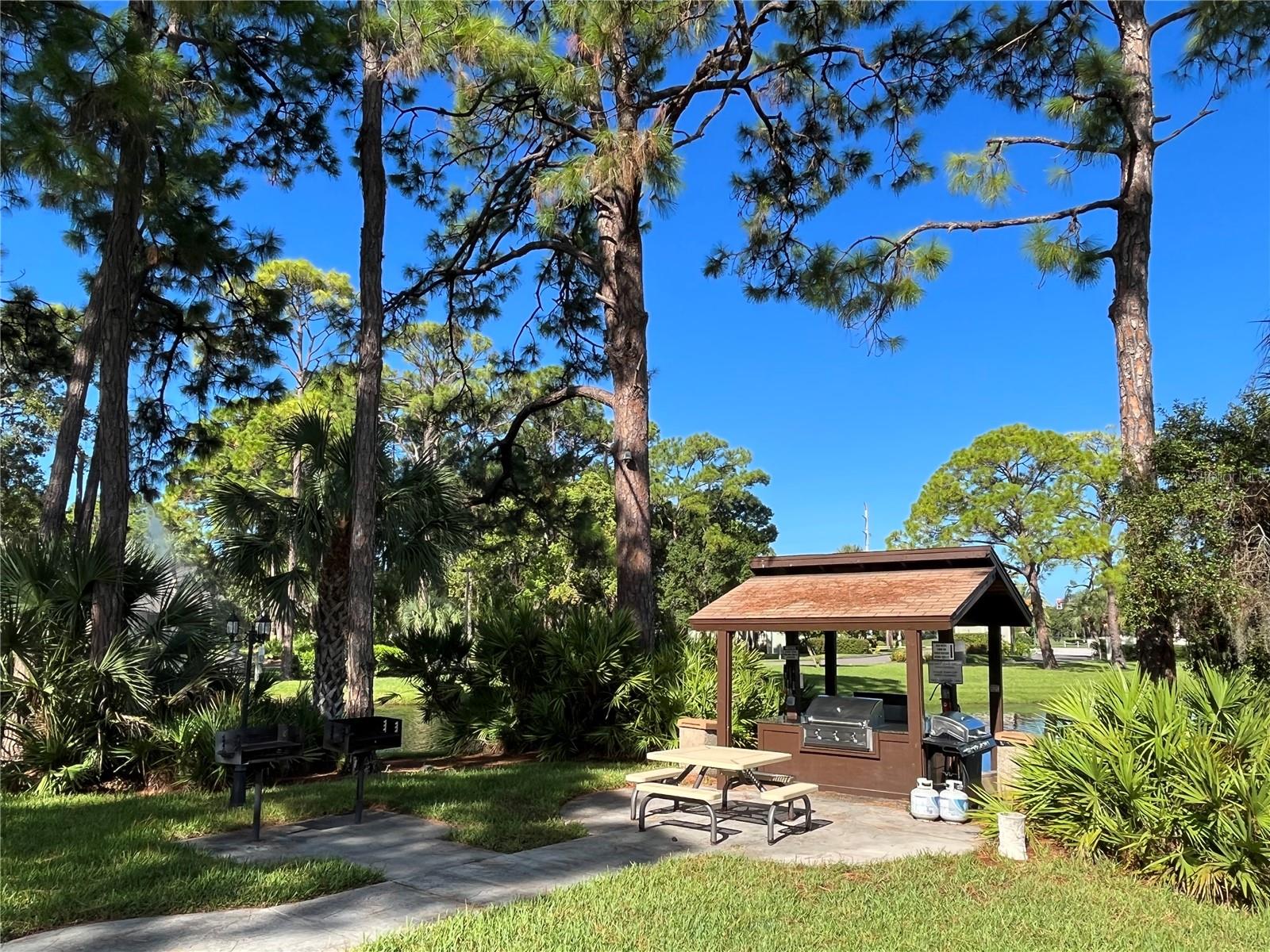 3637 YELLOW PINE CT #146 — photo 40