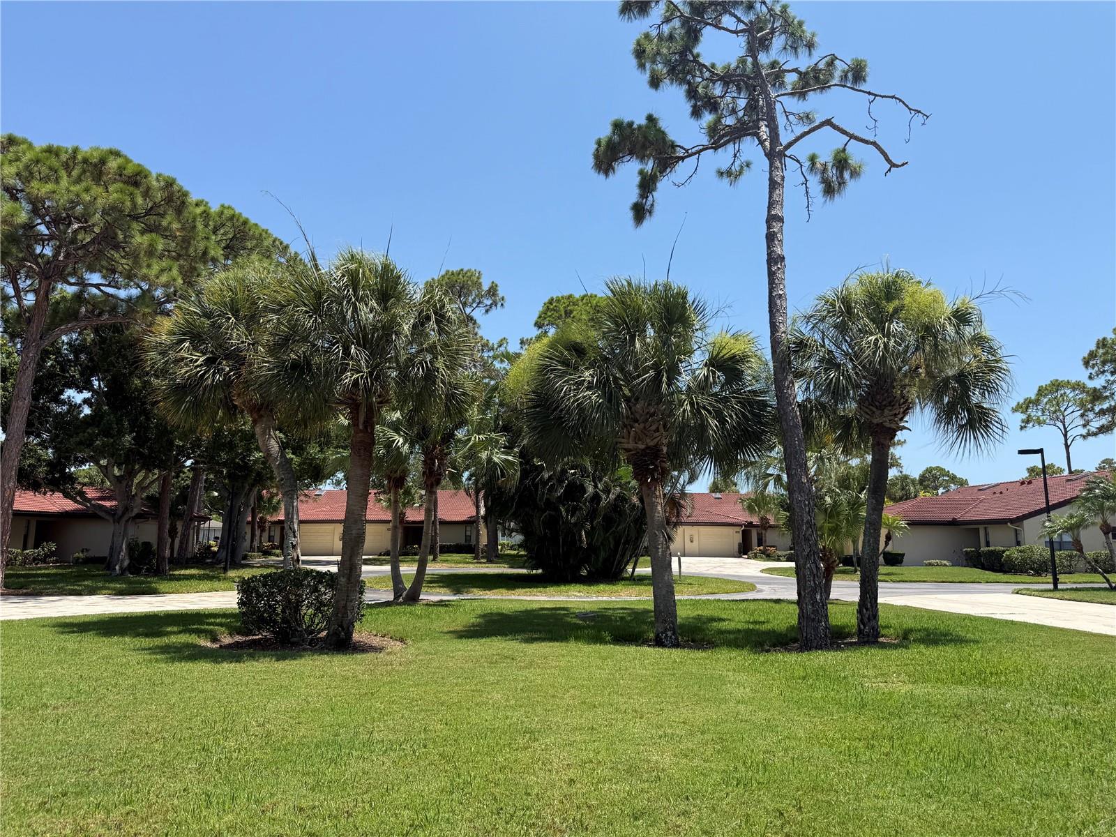 3637 YELLOW PINE CT #146 — photo 33