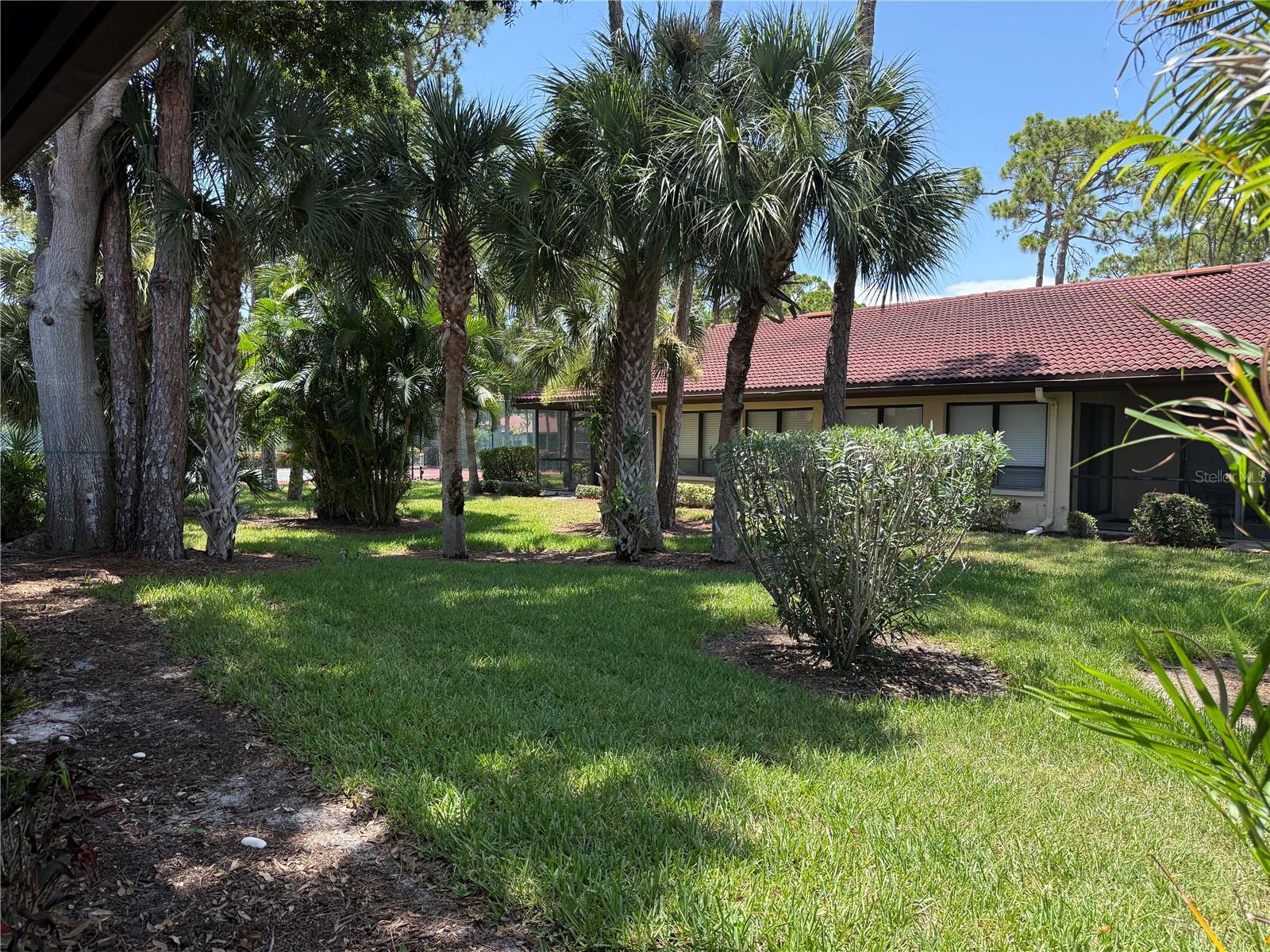 3637 YELLOW PINE CT #146 — photo 32