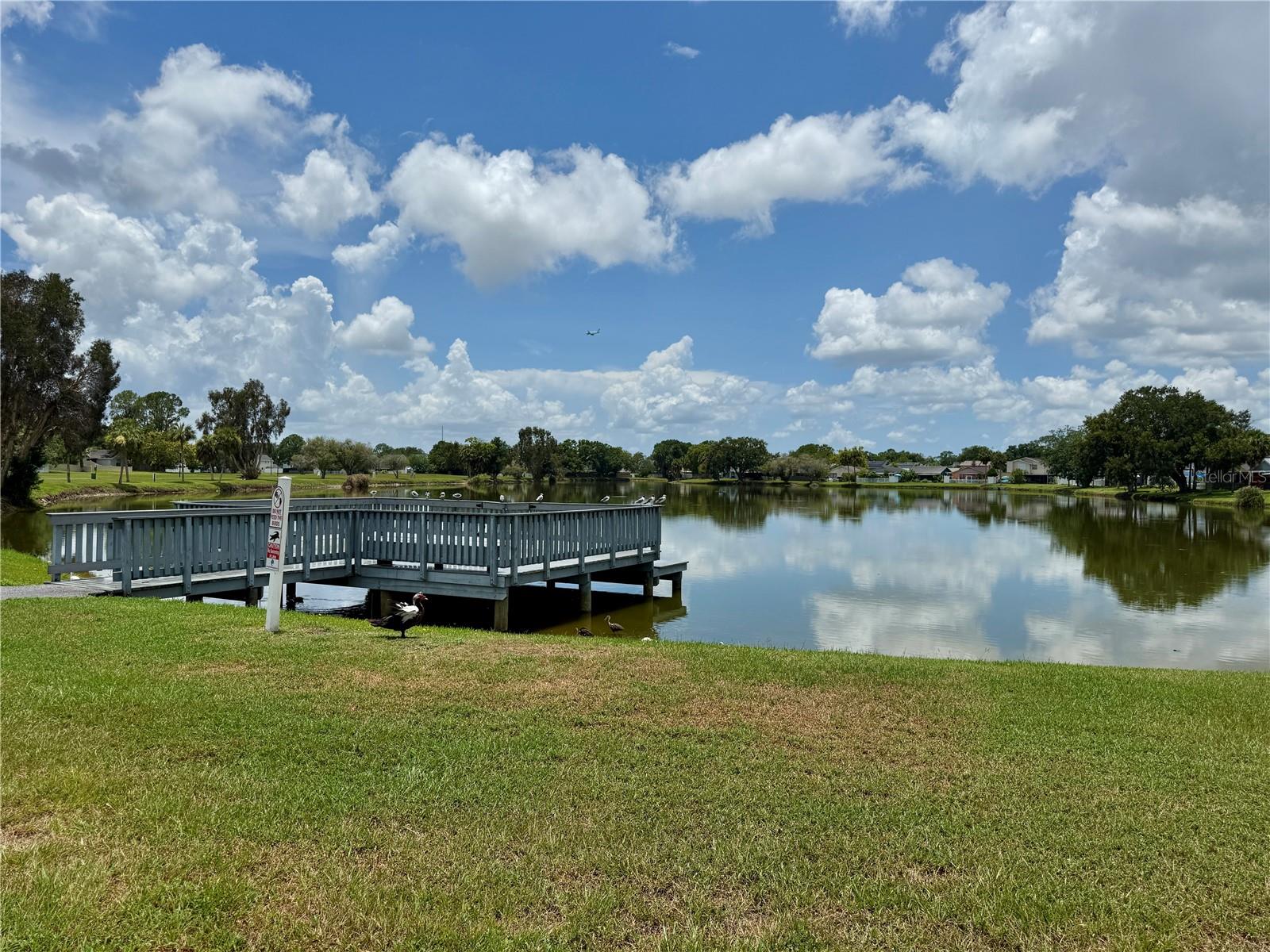 10009 REGAL WOODS LN — photo 49