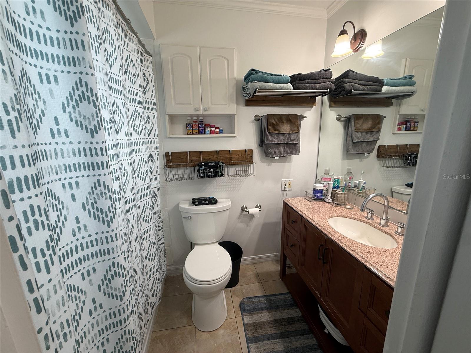 10009 REGAL WOODS LN — photo 11