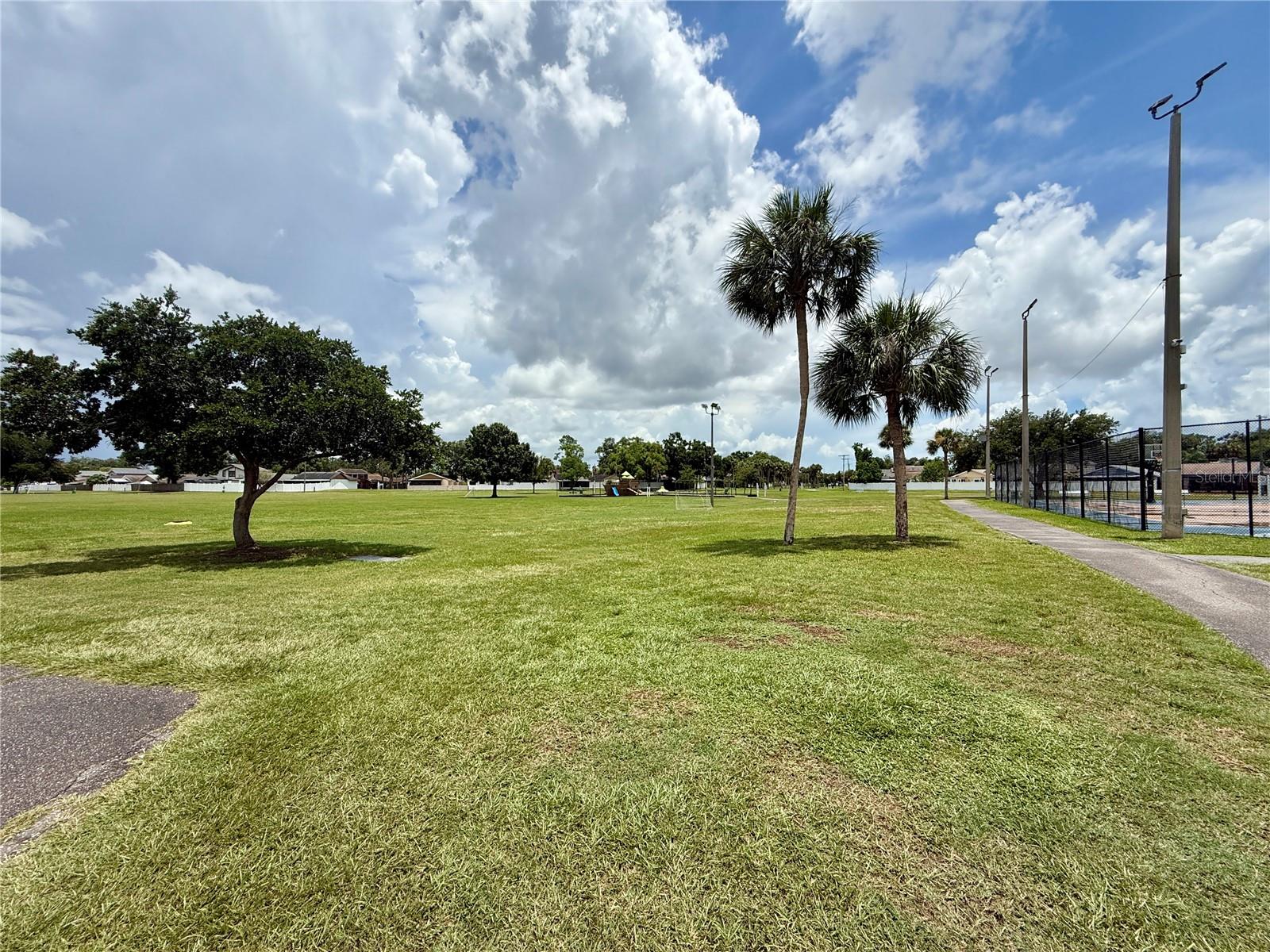 10009 REGAL WOODS LN — photo 44
