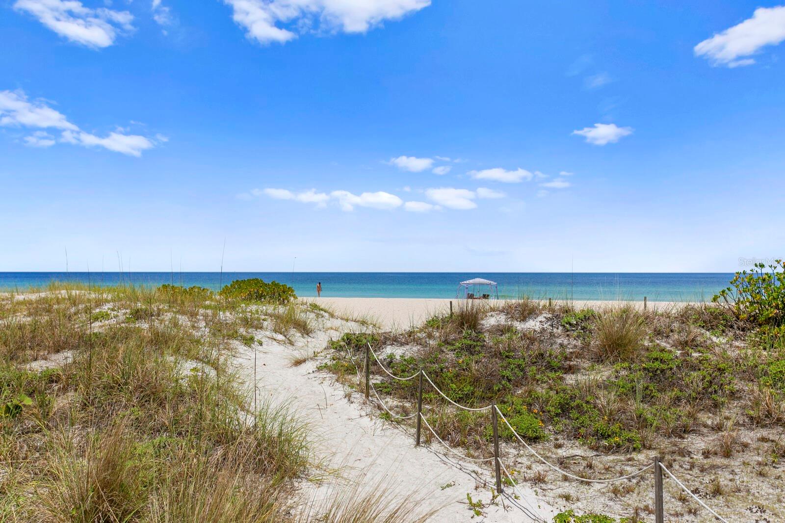 1430 GULF BLVD #806 — photo 40