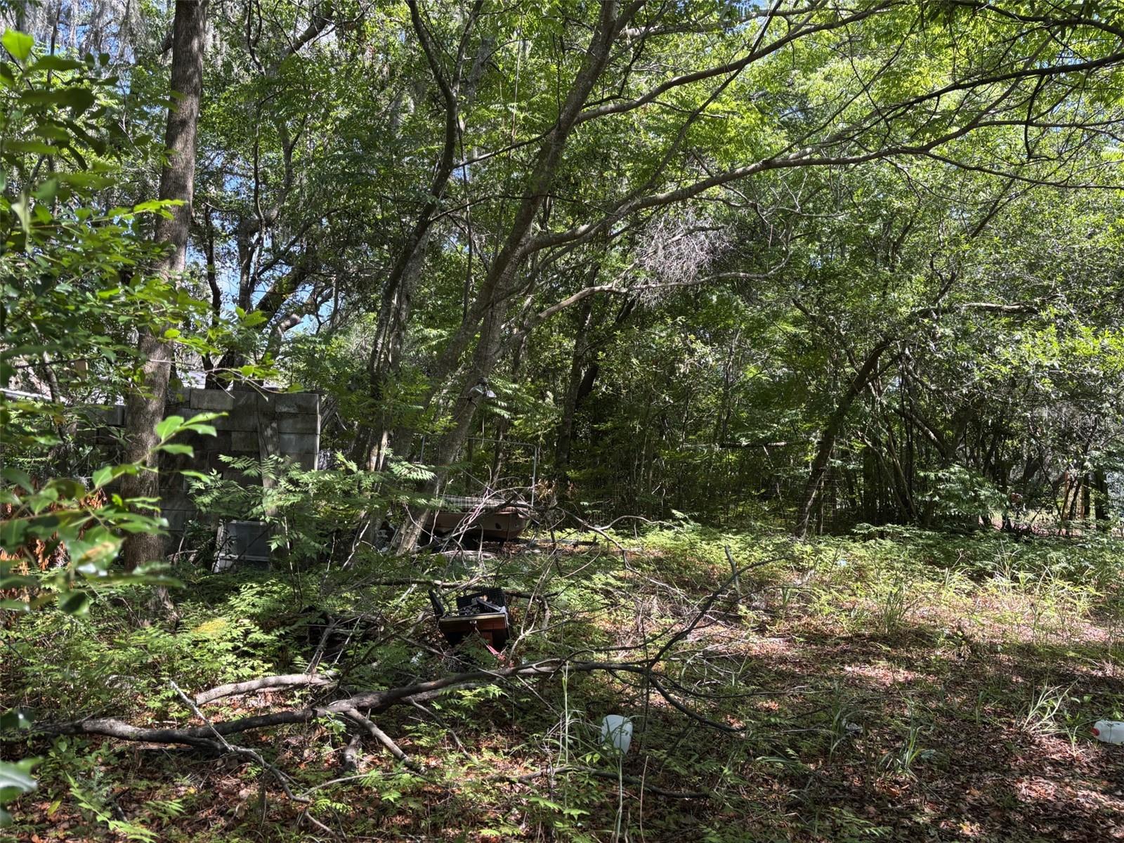 12506 WALTON AVE — photo 4