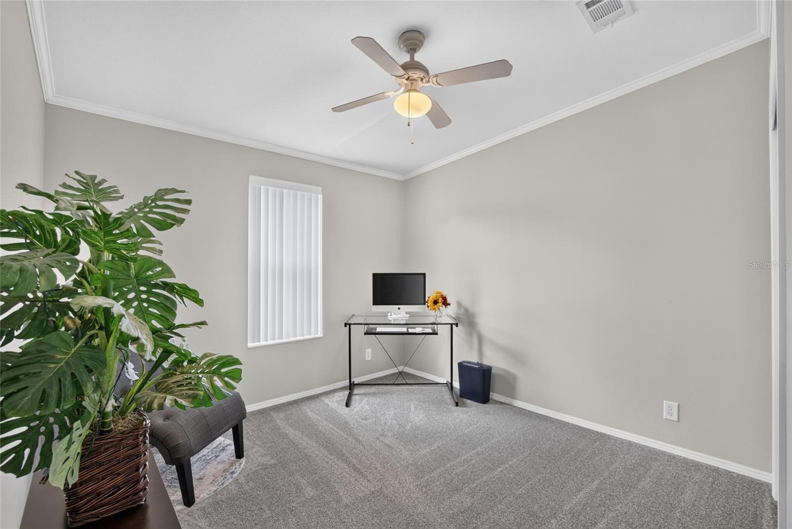38310 PEAR CT — photo 41