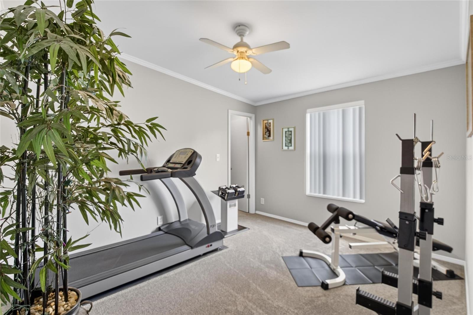 38310 PEAR CT — photo 46
