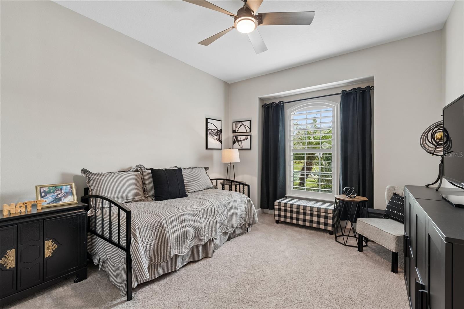 29534 GINNETTO DR — photo 41