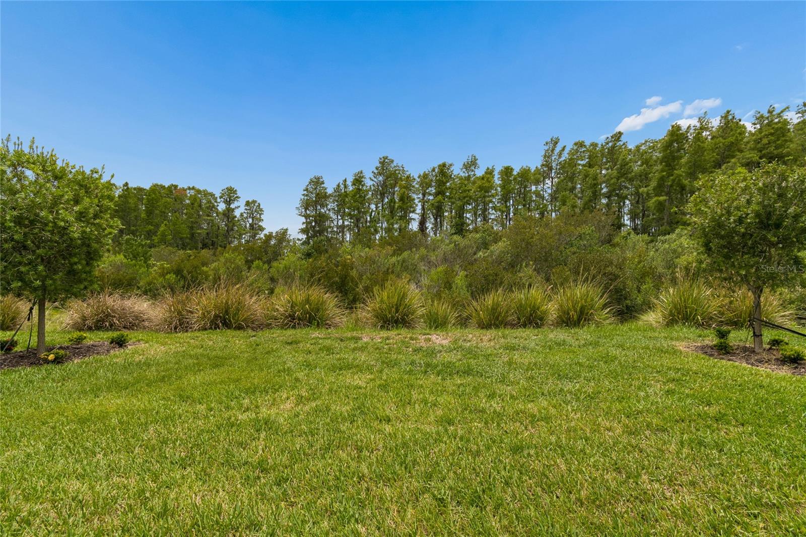 29534 GINNETTO DR — photo 4