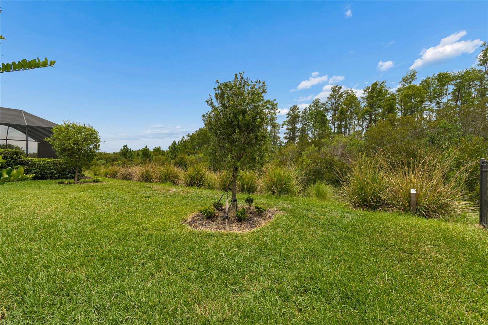 29534 GINNETTO DR — photo 99