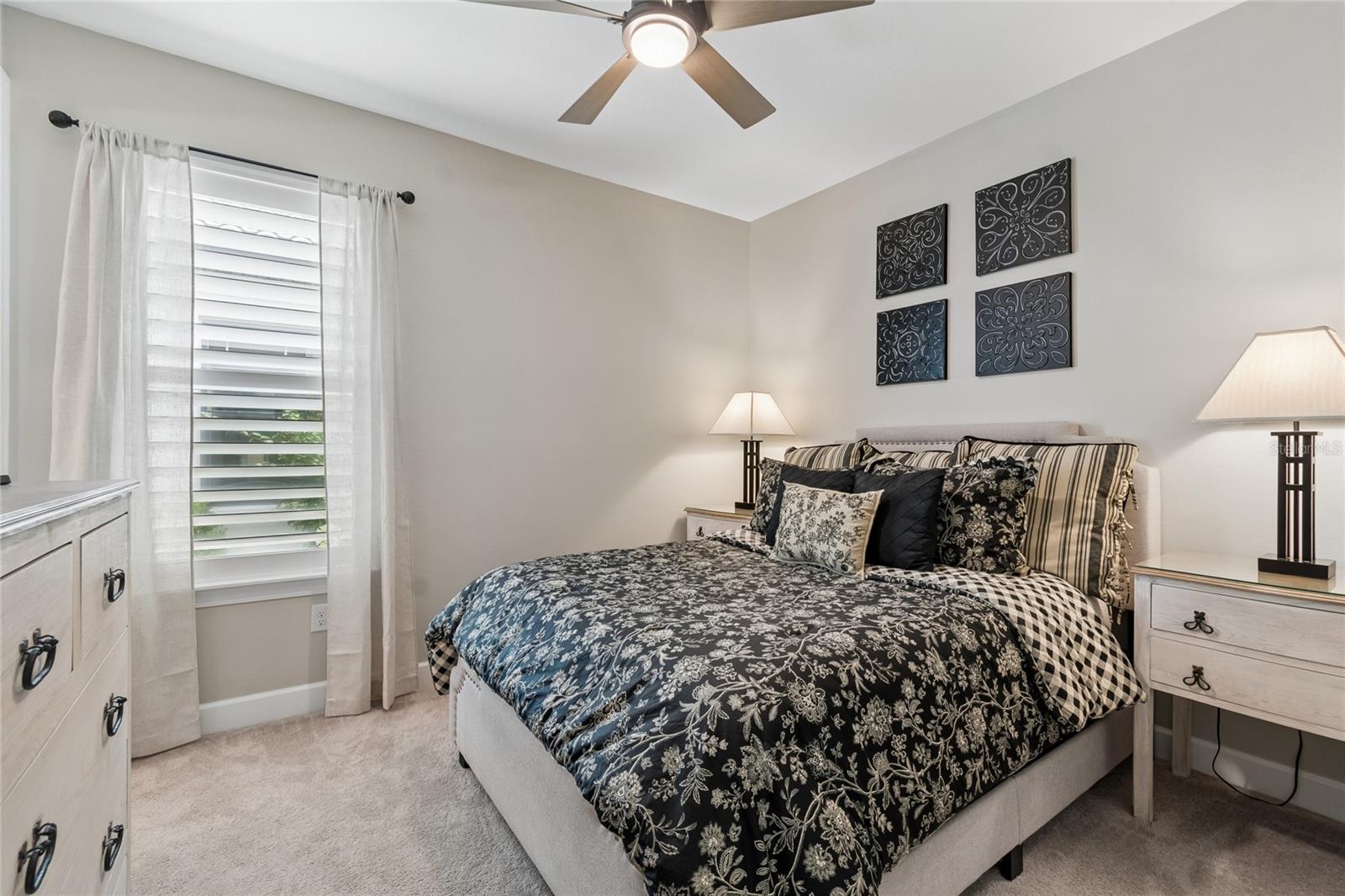29534 GINNETTO DR — photo 35