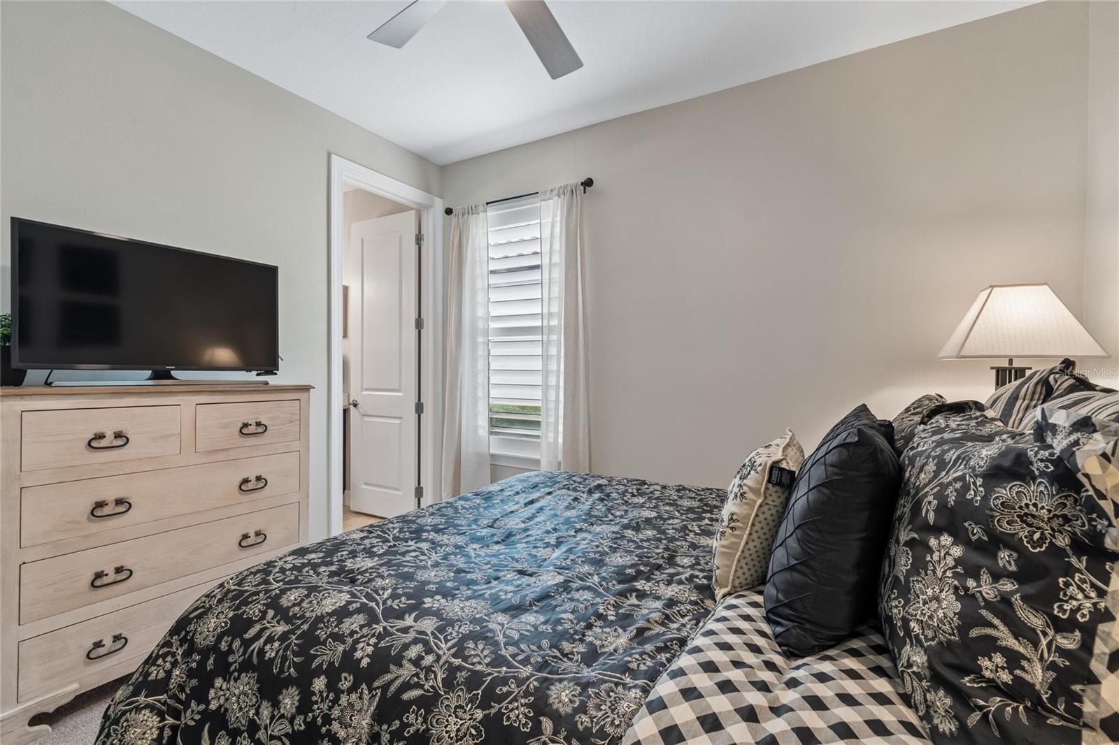 29534 GINNETTO DR — photo 38