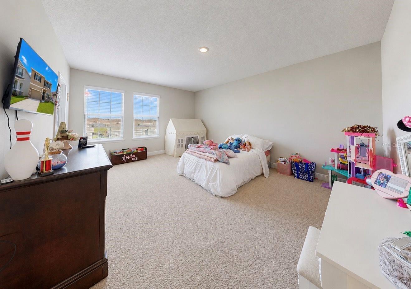 172 MANGROVE MANOR DR — photo 20
