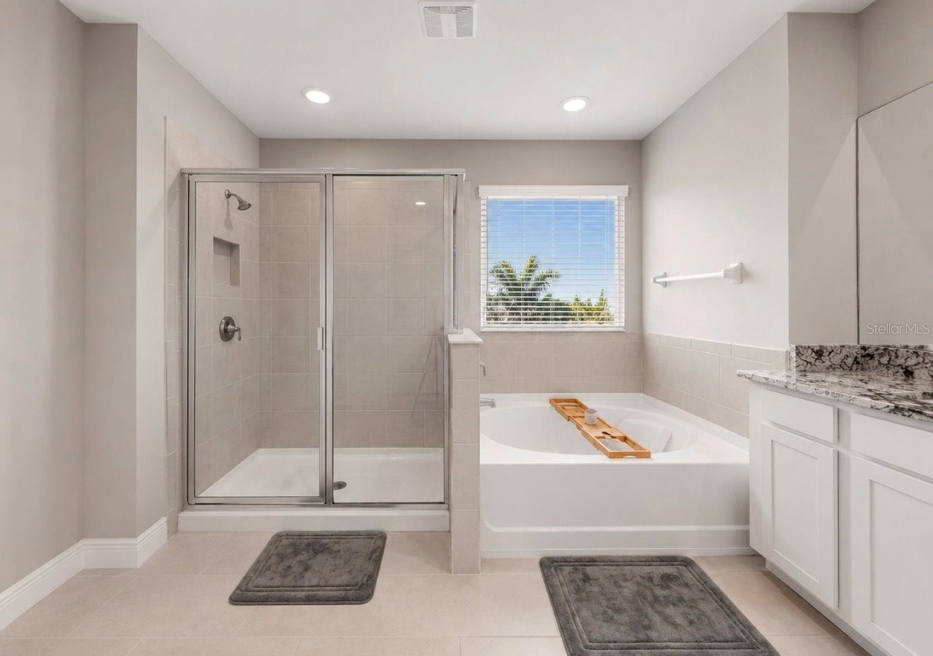 172 MANGROVE MANOR DR — photo 29