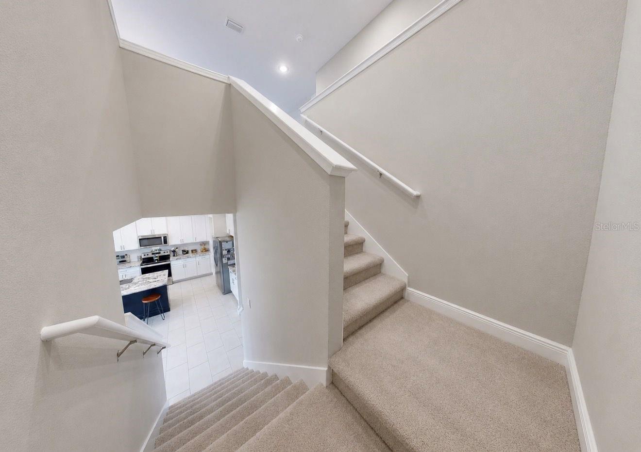 172 MANGROVE MANOR DR — photo 19