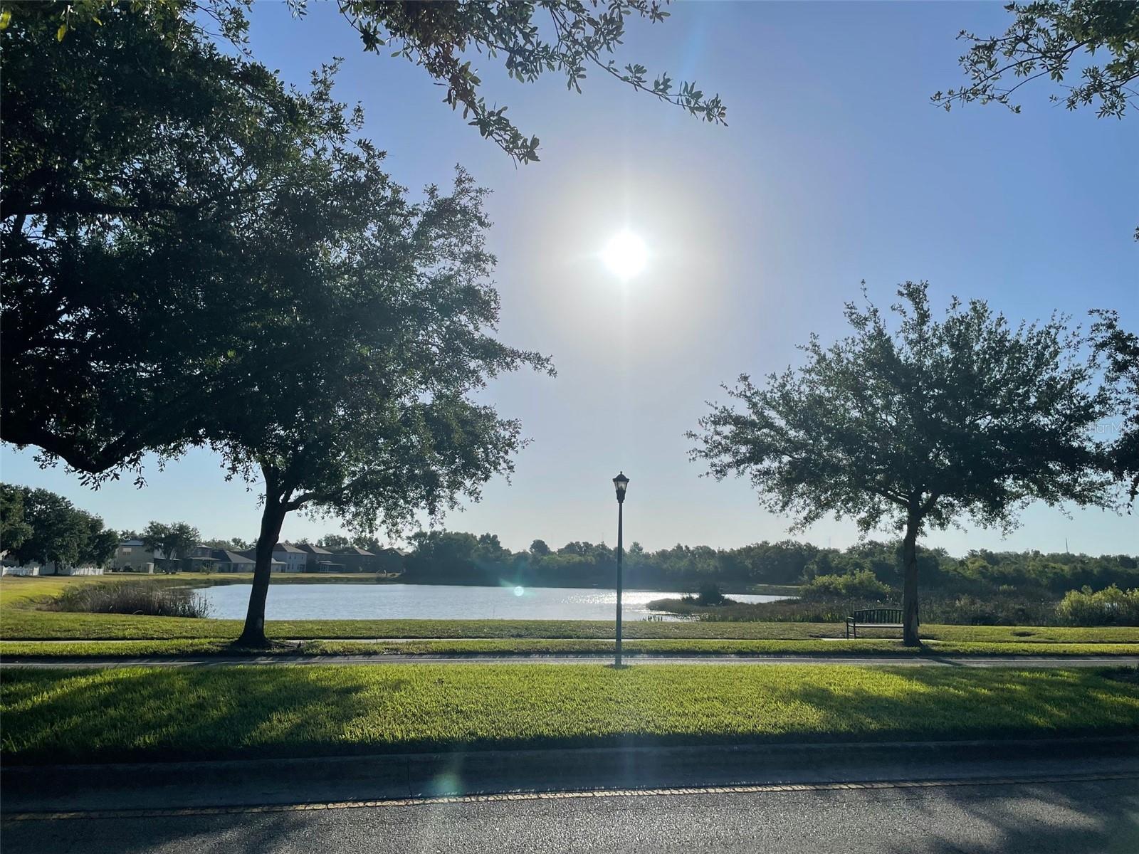 8026 CARRIAGE POINTE DRIVE — photo 45